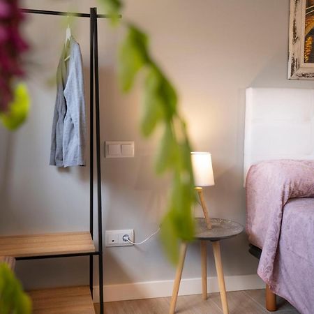 Apartamentos Terraza Ega Estella Dış mekan fotoğraf