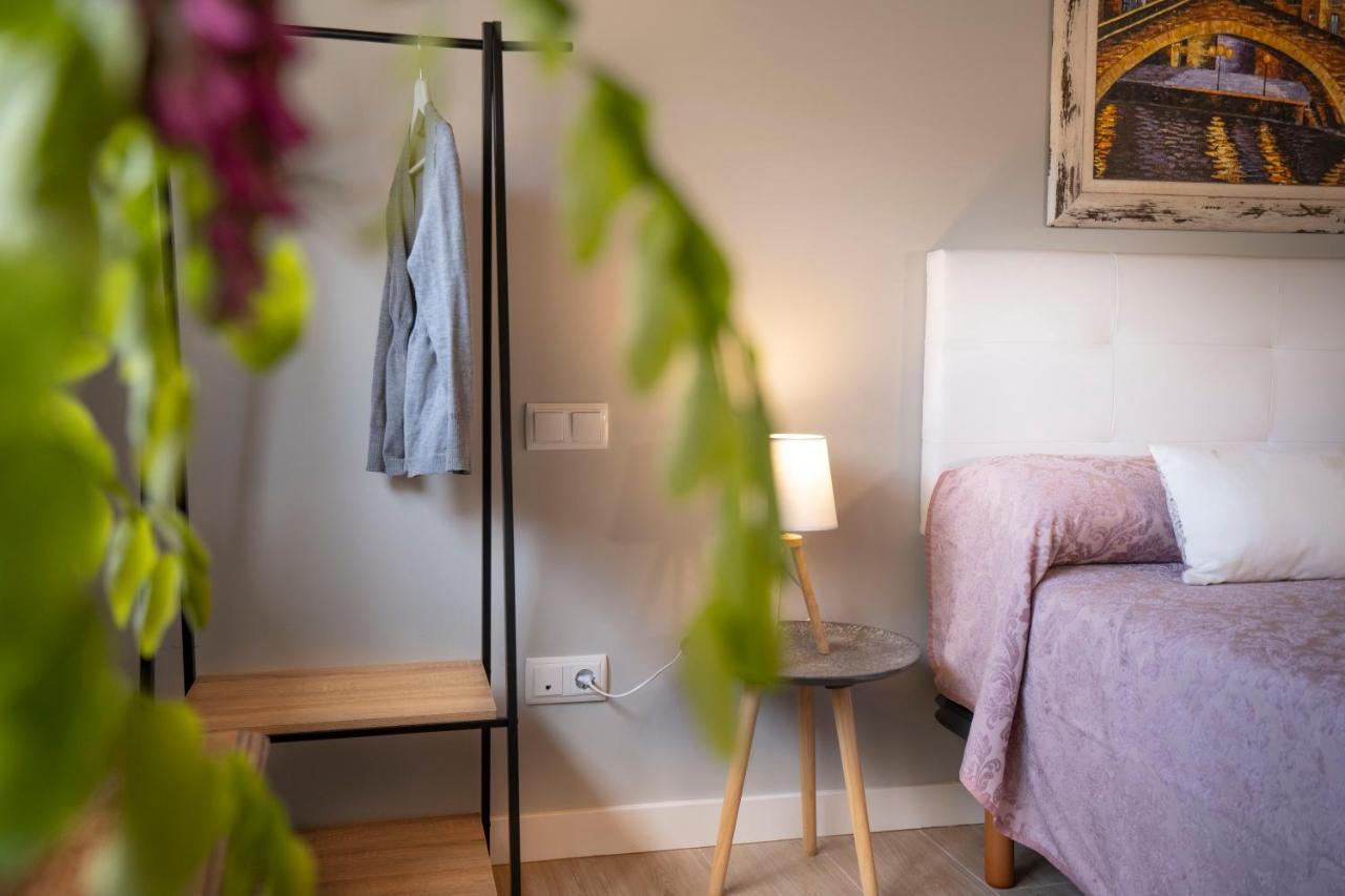 Apartamentos Terraza Ega Estella Dış mekan fotoğraf