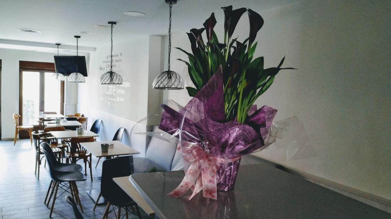 Apartamentos Terraza Ega Estella Dış mekan fotoğraf